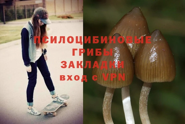 мяу мяу кристалл Рославль